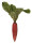 Rettich natural lang rot Ø 5 x L 40cm