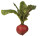 Rettich natural rund rot Ø 9 x L 25cm