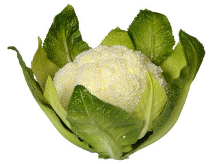 Blumenkohl natural grün/weiss Ø 16 x H 13cm