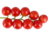 Cherry-Tomaten an Rispe 20cm 9 Tomaten Ø 3 - 4cm