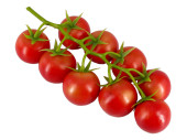 Cherry-Tomaten an Rispe 20cm 9 Tomaten Ø 3 - 4cm