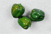 Paprika grün 3er Set 11 x 8,5cm PVC