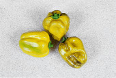 Paprika gelb 3er Set 11 x 8,5cm PVC