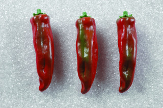 Paprika spitz rot 3er Set 16cm lang Kunststoff