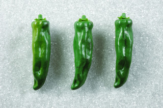Paprika spitz grün 3er Set 16cm lang Kunststoff
