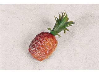 Ananas klein natur 21 x 10 cm