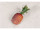 Ananas klein natur 21 x 10 cm