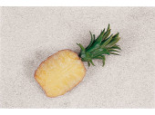 Ananashälfte natur 21 x 10cm PVC