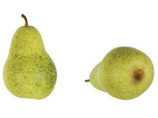 Birne gelbgrün 3er Set 9.5cm x 6.5cm