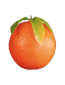 Orange gross mit Blätter Ø 17,5cm