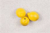 Zitronen gelb 3er Set 6 x 8 cm