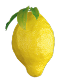 Zitrone gross mit Blätter Ø 15 x 26cm