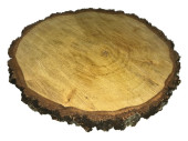 Holz-Baumscheibe Ø 20 - 25cm