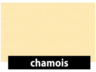 Fotokarton 70 x 100cm, 300g/m² beidseitig, 10 St., chamoise/beige