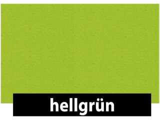 Fotokarton 70 x 100cm, 300g/m² beidseitig, 10 St., hellgrün