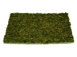 Moosplatte grasgrün