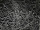 Eisenstecknadeln schwarz 26mmx0.70mm 103 500g/Krt.