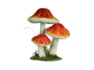 mushrooms medium 3-pcs. brown 17cm