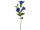 gentian 6 blue blossoms 48cm long