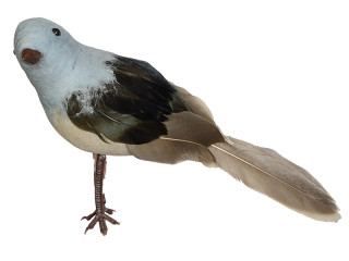oiseau "Robin" debout gris