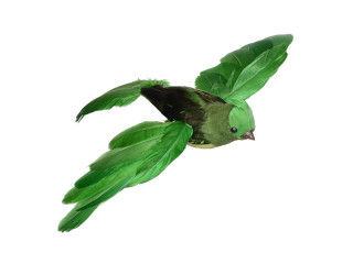 Vogel "Robin" fliegend grün