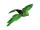 oiseau "Robin" volant vert