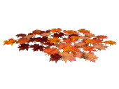 feuilles dérable rouge/orange 7 - 10cm 48 pcs.