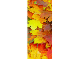 Textilbanner "Herbstblätter" 75 x 180cm