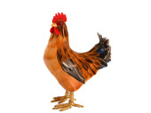 Huhn mit Federn klein natur-orange H 22cm