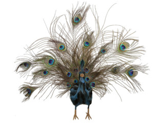 Pfau klein gefächerter Schwanz blau/braun 60 x 12 x H 55cm