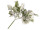 ilex buisson "Snowy" 34cm