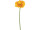 Gerbera 62cm dunkelgelb