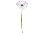Gerbera 62cm weiss