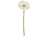 gerbera 62cm crème