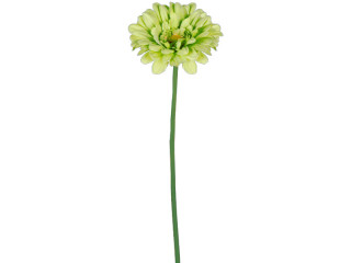 Gerbera 62cm grün