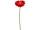 gerbera 62cm rouge