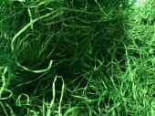 easter grass / wood wool 1kg green