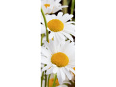Textilbanner "3 Margeriten" 75 x 180cm