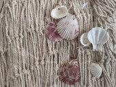 Fischernetz dick, natur, 150 x 200cm, Maschen 5 x 5cm, mit Muscheln geschmückt