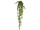 Efeuhänger Natural 180cm grün, 423 Blätter 3,5-6,5cm