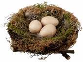Vogelnest natur Zweige/Moos Ø 16 x H 5cm, mit 3 Eiern