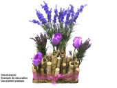 support en bouleau avec verres grand 30 x 13 x h 22cm