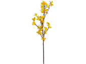 Forsythienzweig gelb 45cm ca. 45 Blüten