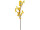 Forsythienzweig gelb 45cm ca. 45 Blüten