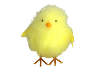 poussin grand avec plumes jaune 18cm