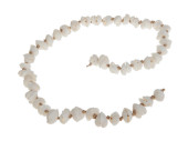 shells chain "Clamrose" white 100cm