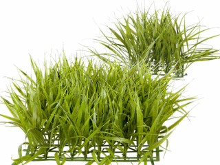grass panel high in diff. sizes