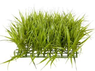Grasplatte langes Gras gross grün, 26 x 26 x 14cm
