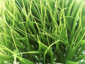 plaque de gazon herbe longue grand vert 26 x 26 x 14cm