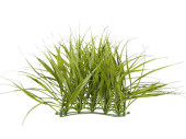 grass panel long grass small green, 13 x 13 x 14cm